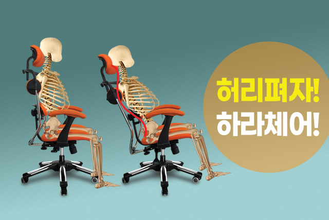 허리펴자, 하라체어!