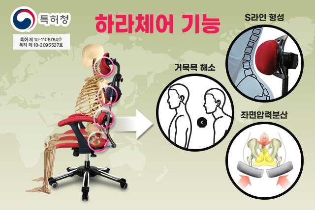 하라체어 기능