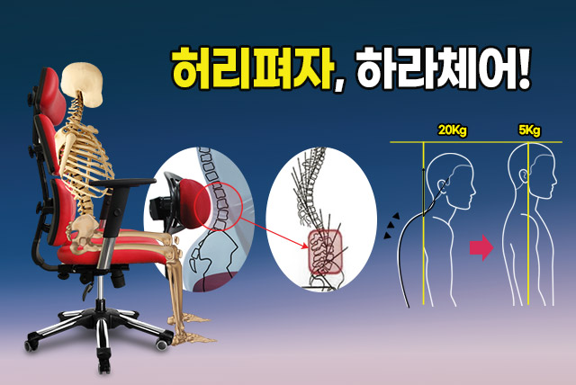 허리펴자, 하라체어!